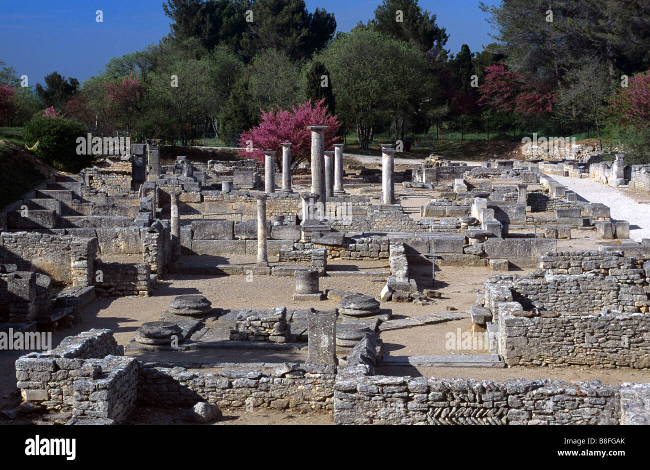 Vista inferiore città greco-romano di Glanum con il Market Place & Case Romane, Glanum, St Rémy de Provence, Alpilles, Francia Foto Stock
