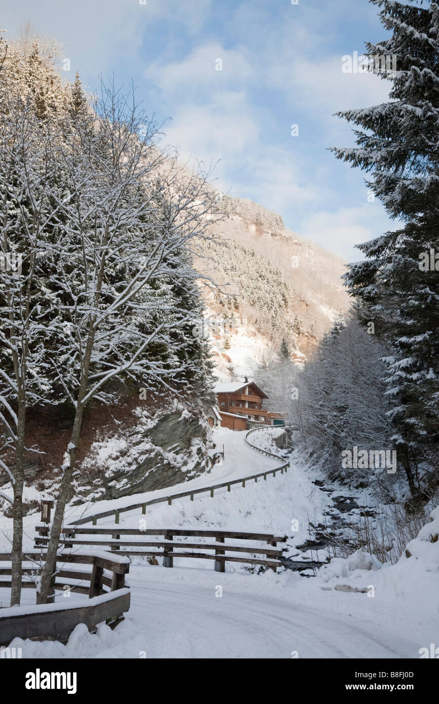 Rauris Austria vista lungo la strada di montagna a Gaisbachtal nella valle alpina rivestita con abeti dopo forti nevicate in inverno Foto Stock