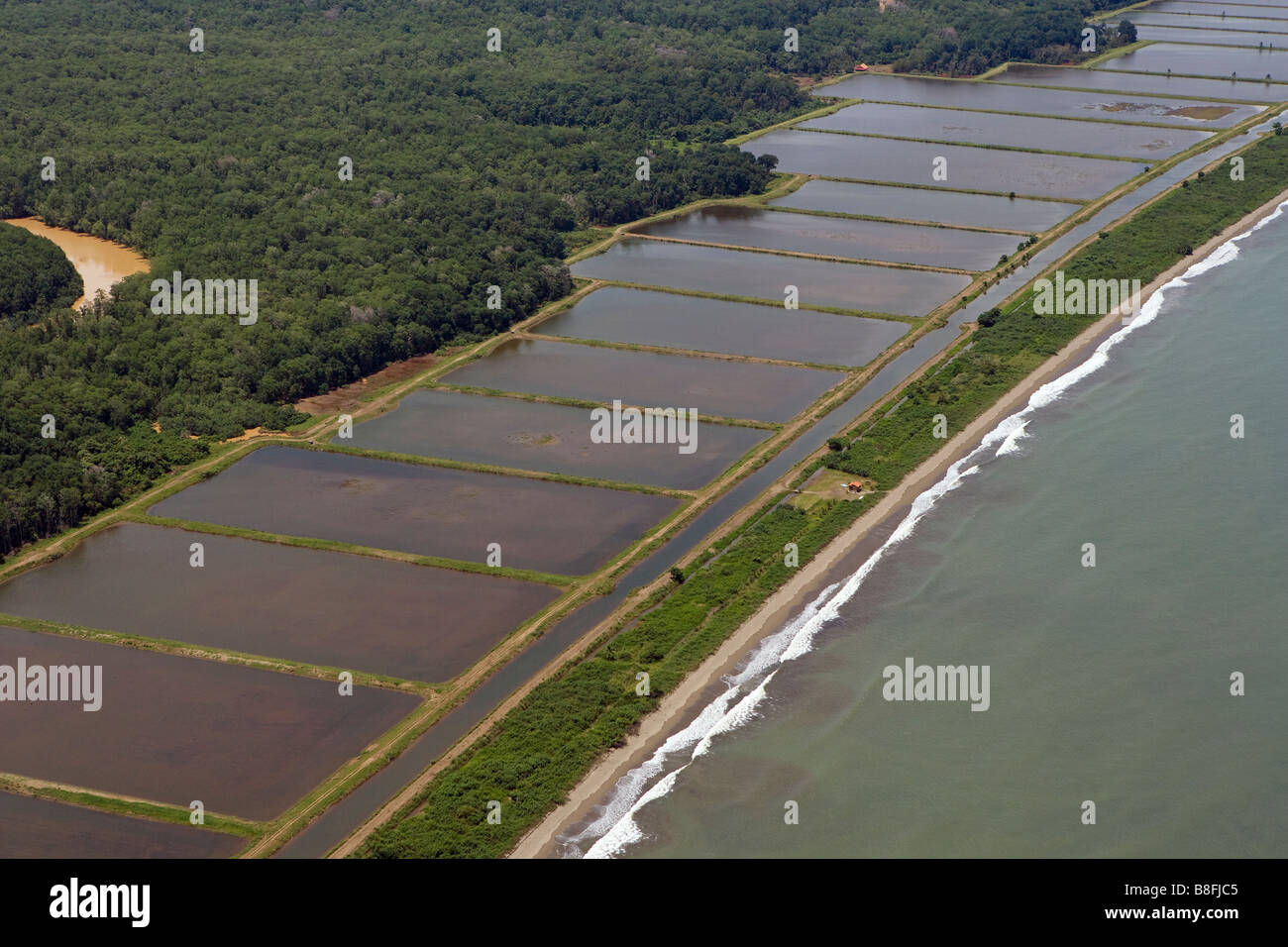 Vista aerea sopra l'allevamento dei gamberetti costa del Pacifico Panama Foto Stock