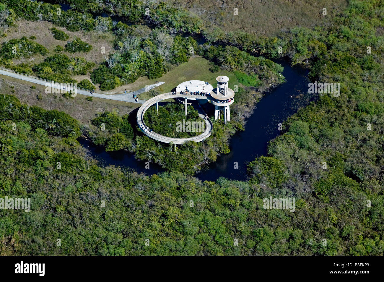 Vista aerea squalo sopra il punto di osservazione di visualizzazione look out tower Everglades National Park Florida Foto Stock
