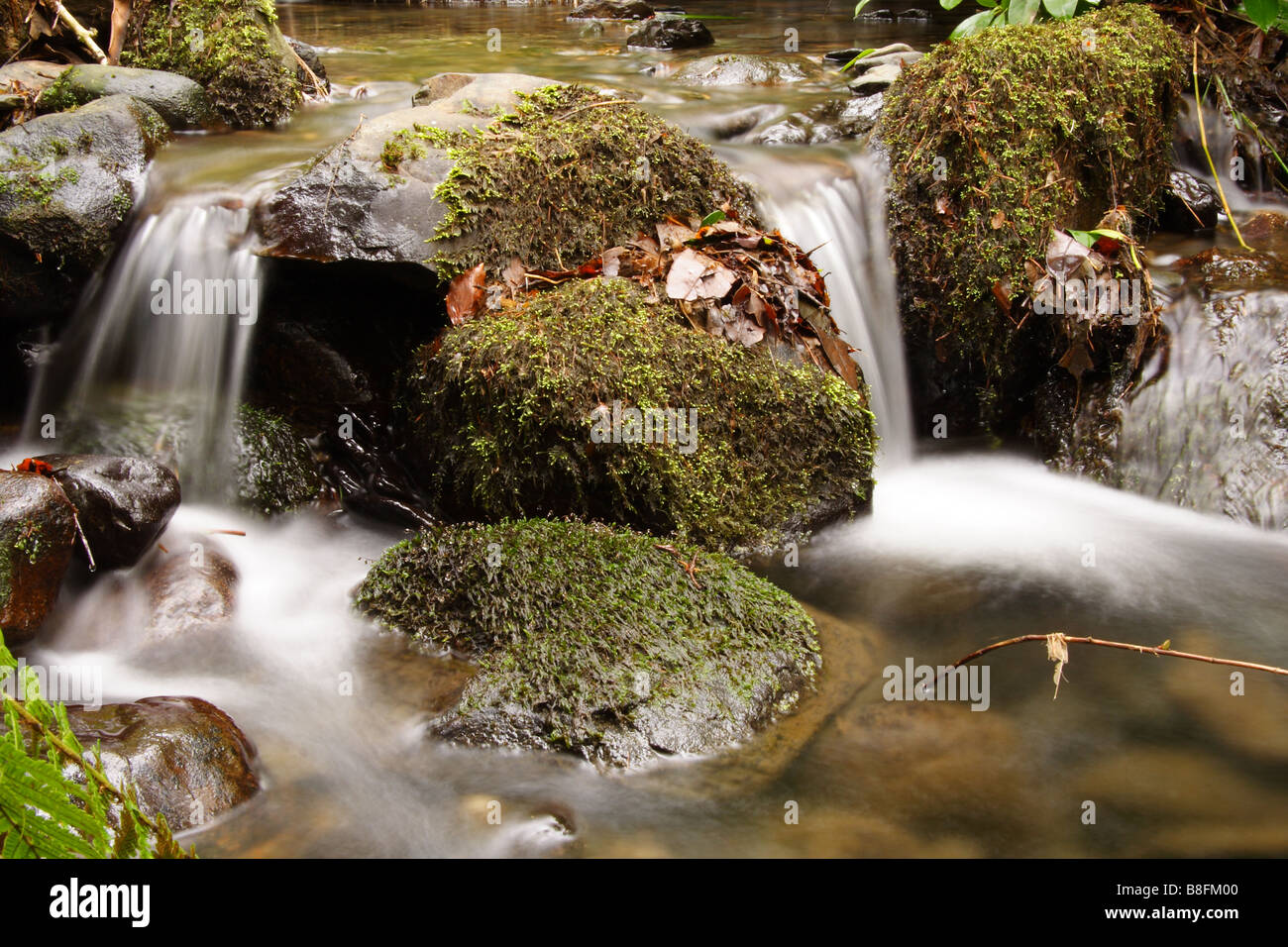 Cascata Foto Stock