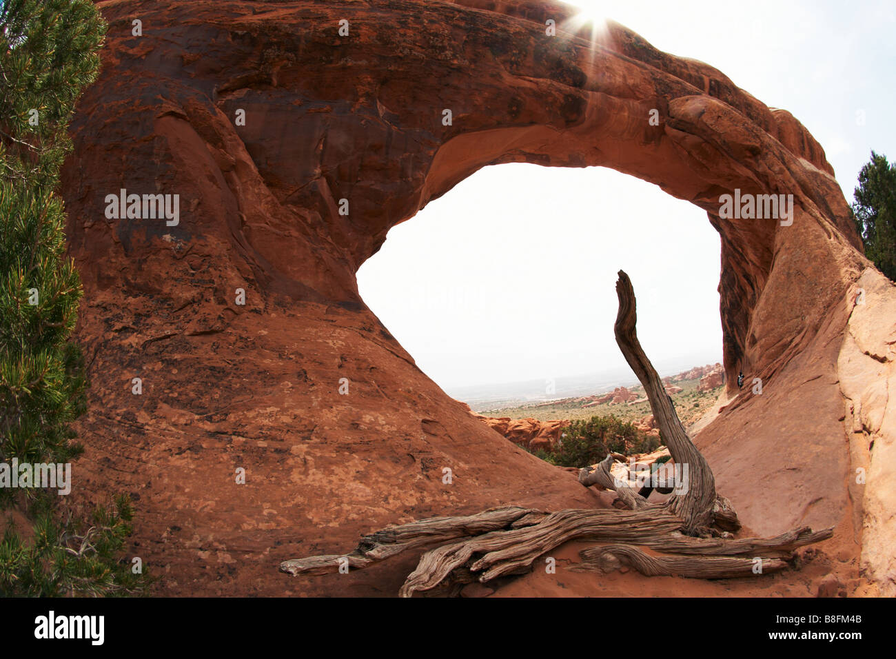 Arco di partizione Foto Stock