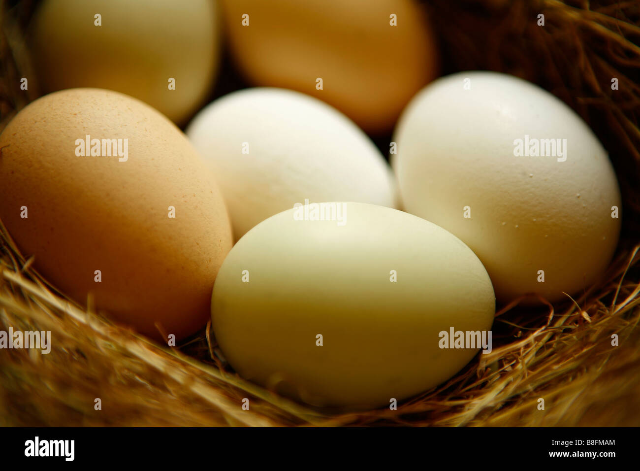 Sei uova in un nido di fieno Foto Stock