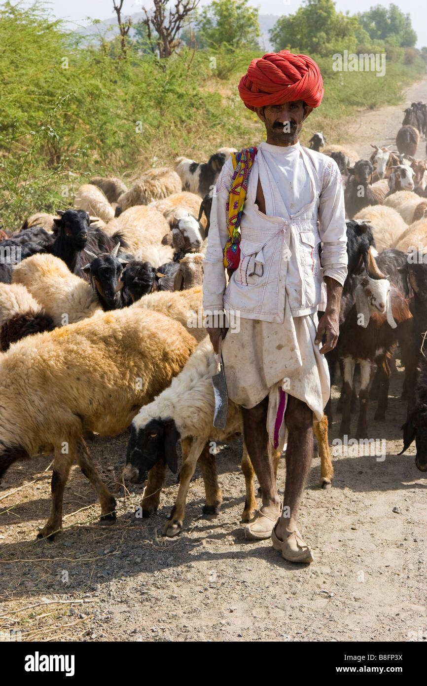 Contadino con capre Rajasthan in India Foto Stock