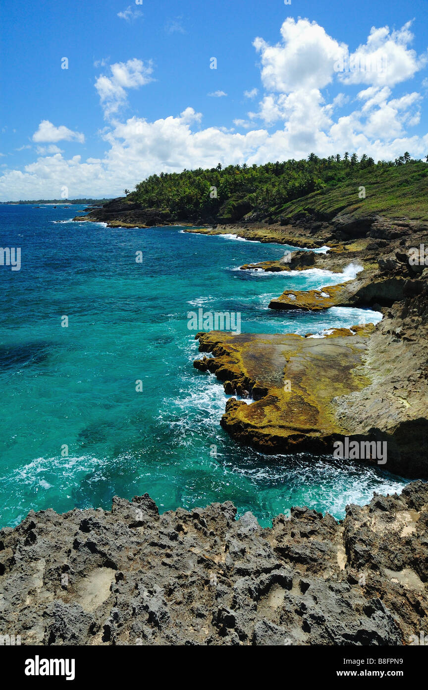 L'acqua turchese e scogliere sulla costa di Dorado Puerto Rico Foto Stock