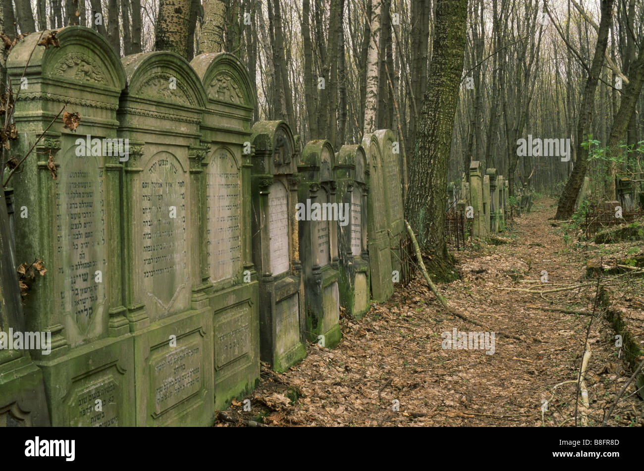 Cimitero ebraico a Varsavia, Polonia Foto Stock
