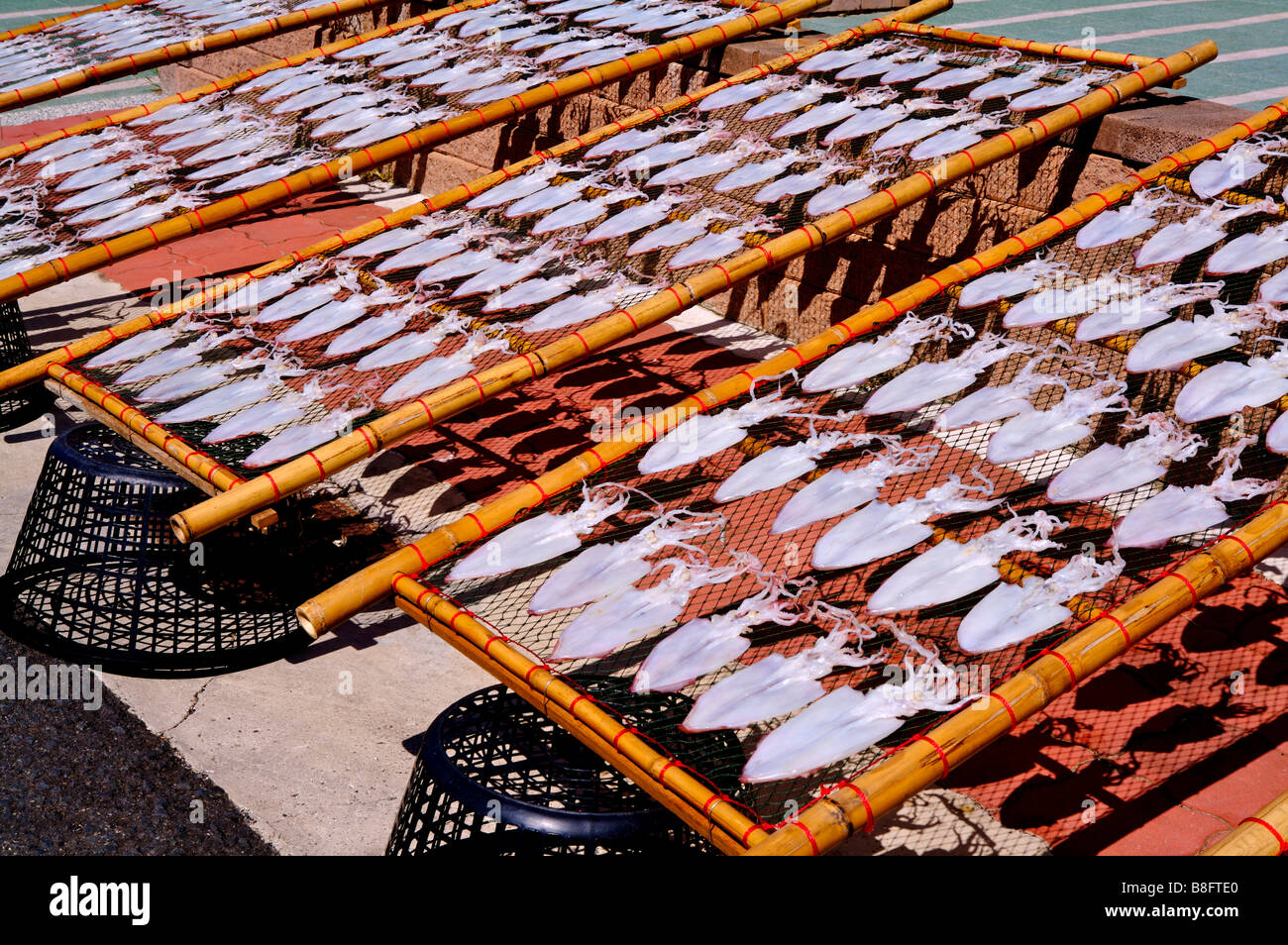 Il manicotto i pesci sono asciugatura sul net Penghu Taiwan Foto Stock