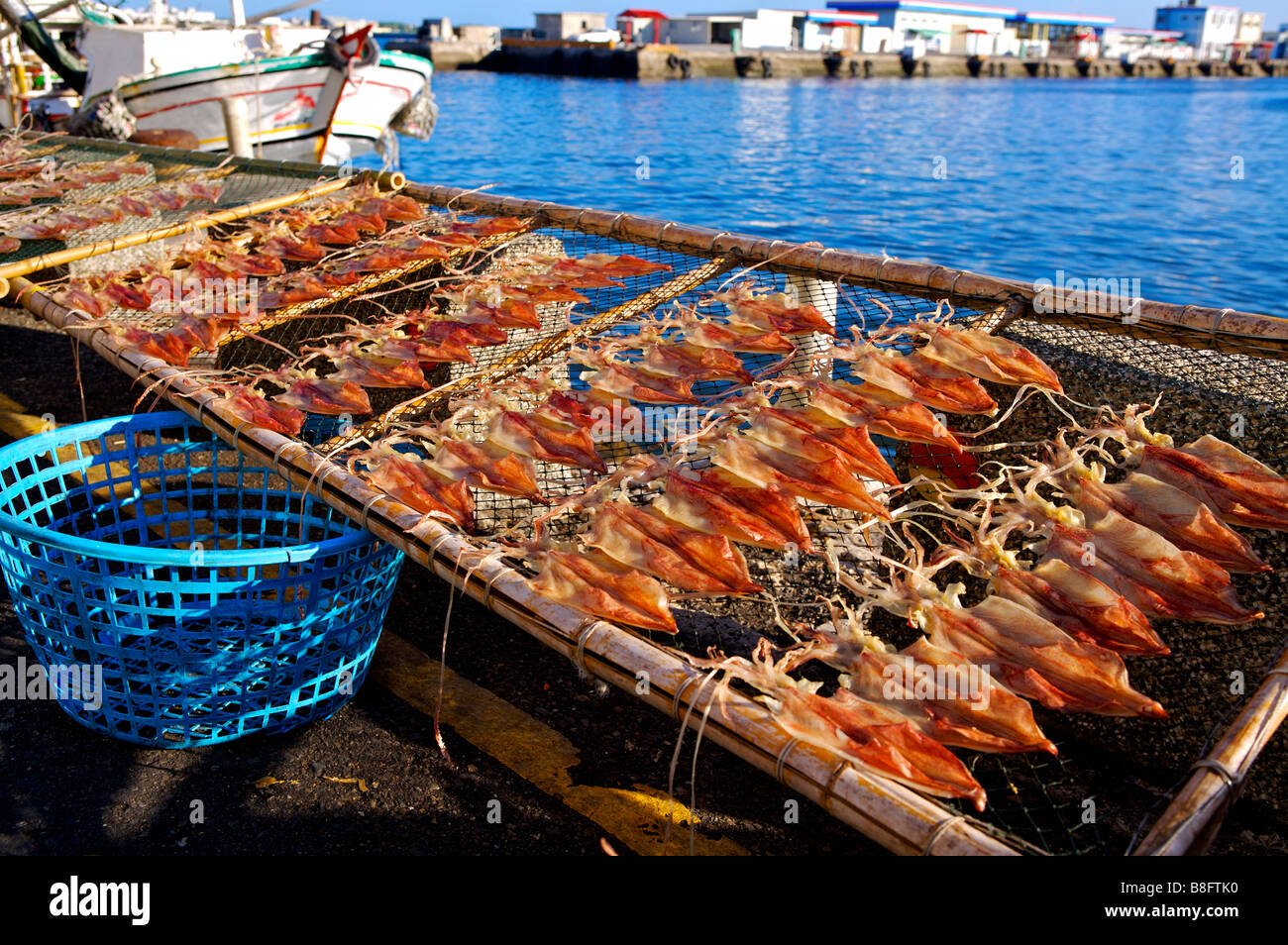 Il manicotto pesci vengono essiccati su net Penghu Taiwan Foto Stock