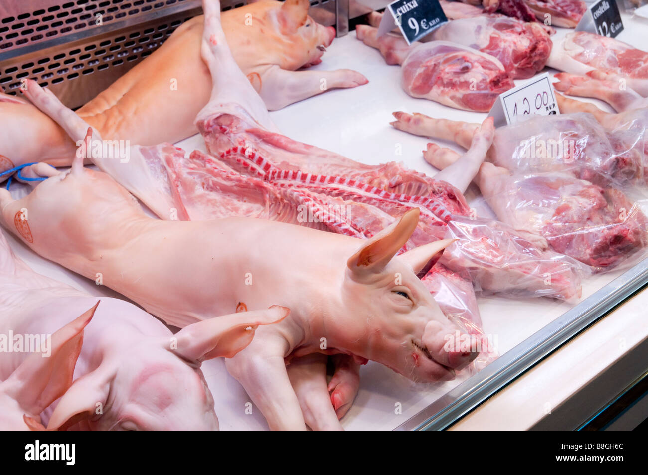 Maialetti per la vendita su un macellaio in stallo il Mercat de la Boqueria market Foto Stock