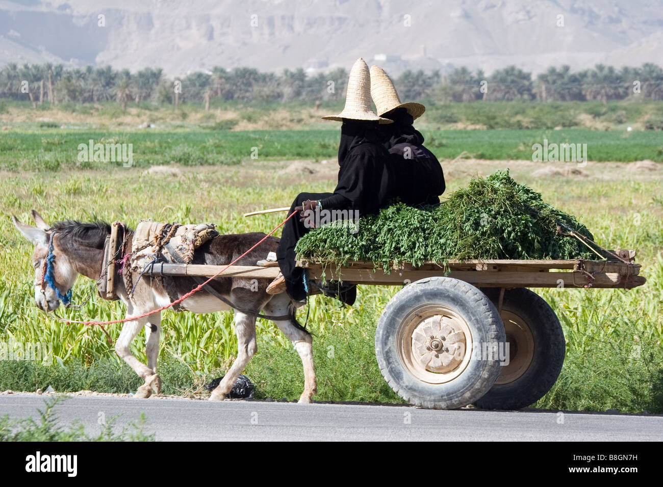 Due donne velate sul carrello in Yemen Foto Stock