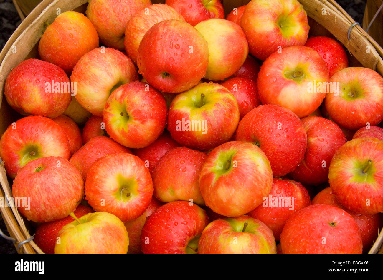 Cestini di mele rosse per la vendita a Alyce e Rogers frutta stand in Mount Tremper New York STATI UNITI D'AMERICA Foto Stock