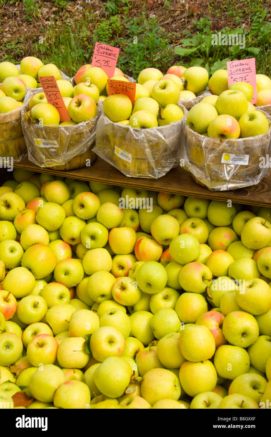 Cestini di mele verdi in vendita presso Alyce e Rogers frutta stand in Mount Tremper New York STATI UNITI D'AMERICA Foto Stock