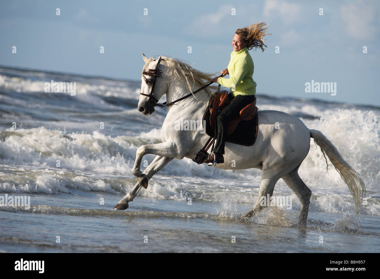 Equitazione donna sul cavallo Andalusiern in acqua Foto Stock