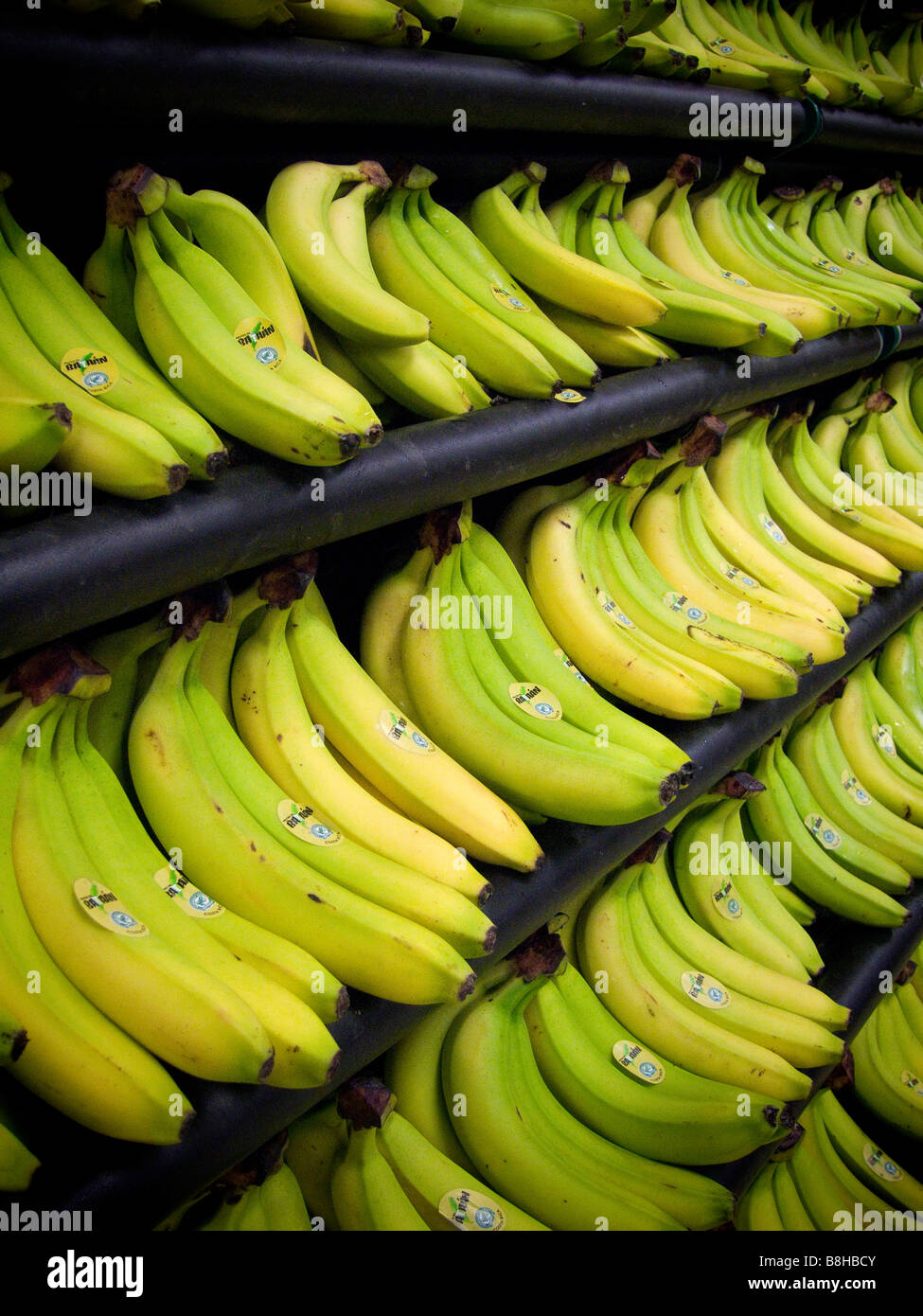 Le banane sugli scaffali di un supermercato store Foto Stock
