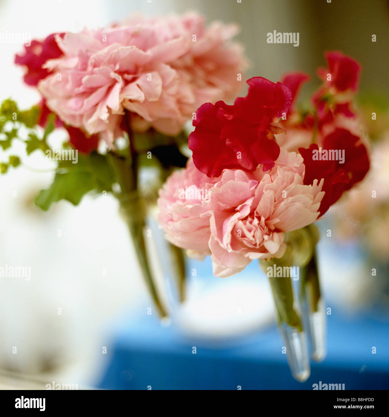 Peonie rosa e rosso sweetpeas nel singolo stelo vasi Foto Stock