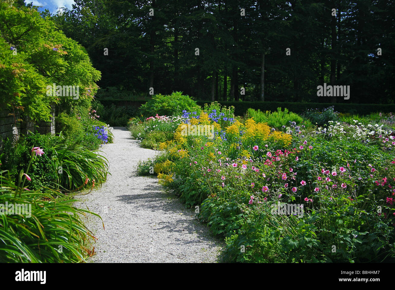 I giardini e piante erbacee confini in Castle Drogo (National Trust) Devon, Inghilterra, Regno Unito Foto Stock