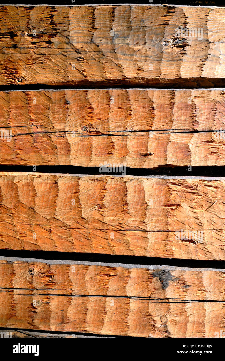 I raffinati dettagli astratta del legno di pino Pinus sylvestris, parete di registro, la Finlandia, la Scandinavia, l'Europa. Foto Stock