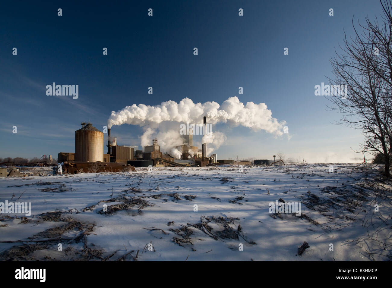 Raffineria di zucchero Foto Stock