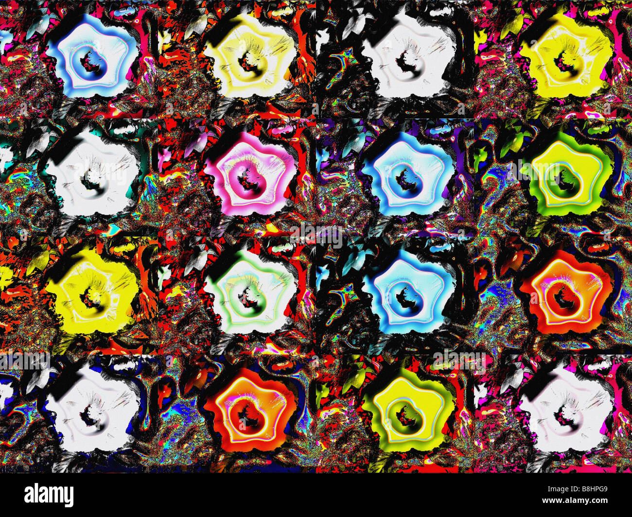 La Pop Art Hibiscus Foto Stock