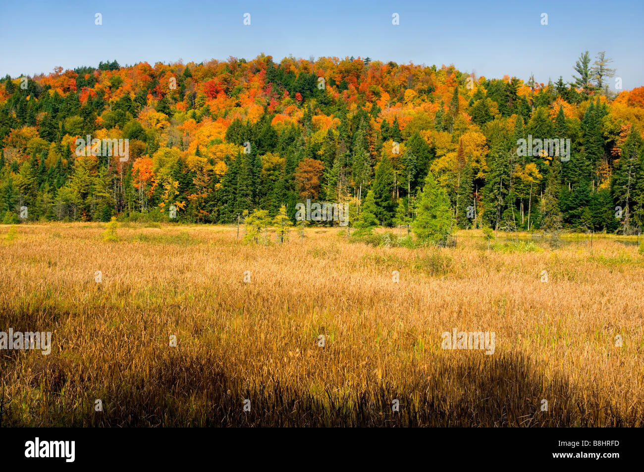 Le Montagne Adirondack variopinte in caduta di fogliame color nello Stato di New York STATI UNITI D'AMERICA Foto Stock