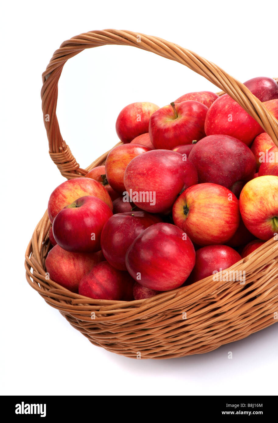 La mietitura. Un cestello con red mele mature. Foto Stock