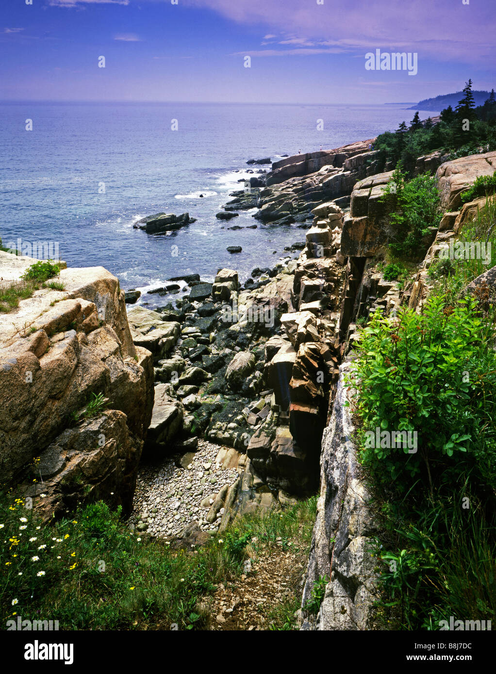 Parco Nazionale di Acadia nel Maine USA Foto Stock
