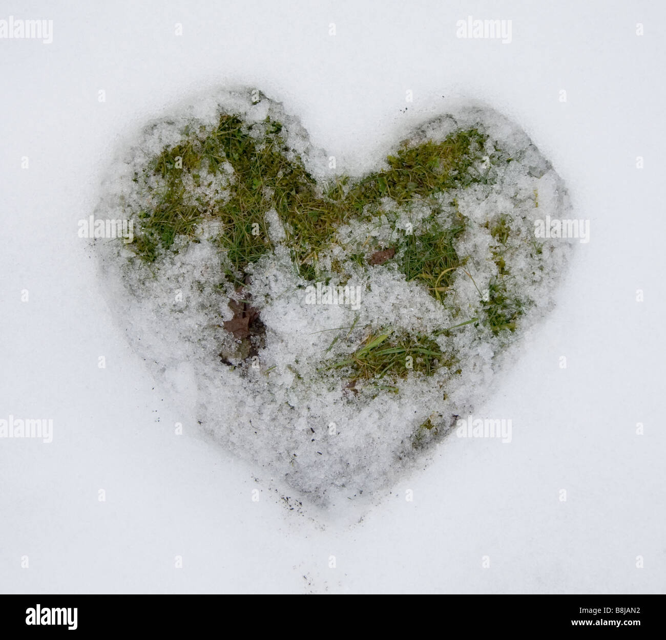A forma di cuore inciso in scongelamento di neve per erba Foto Stock