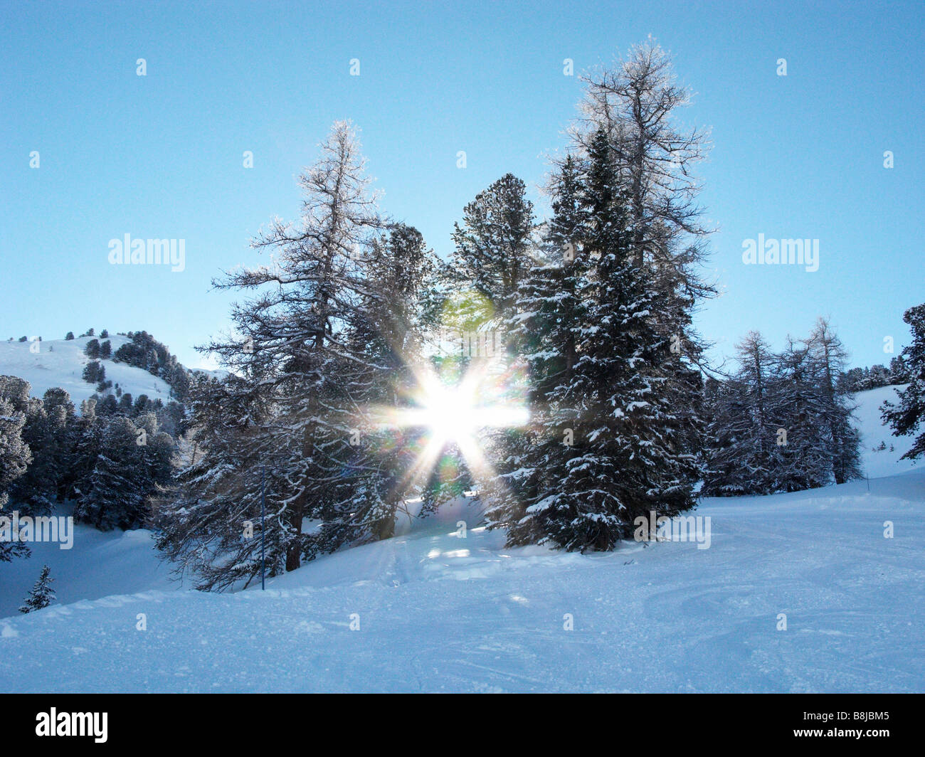 Sun attraverso gli alberi in località sciistica Foto Stock