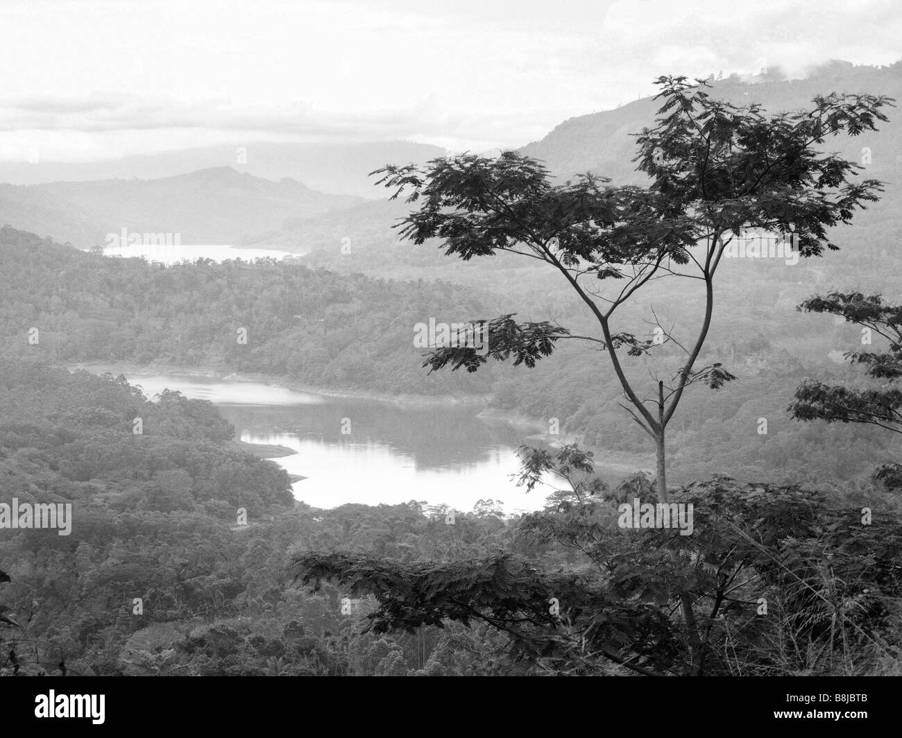Nuwara Eliya , Sri Lanka. Vista della vallata che conduce al mare. In bianco e nero. Foto Stock