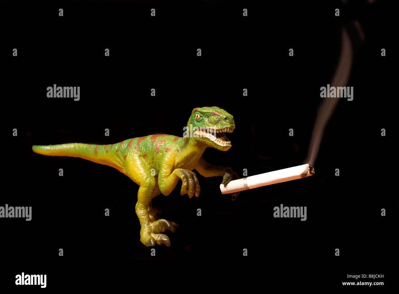 'evoluzione' Foto Stock