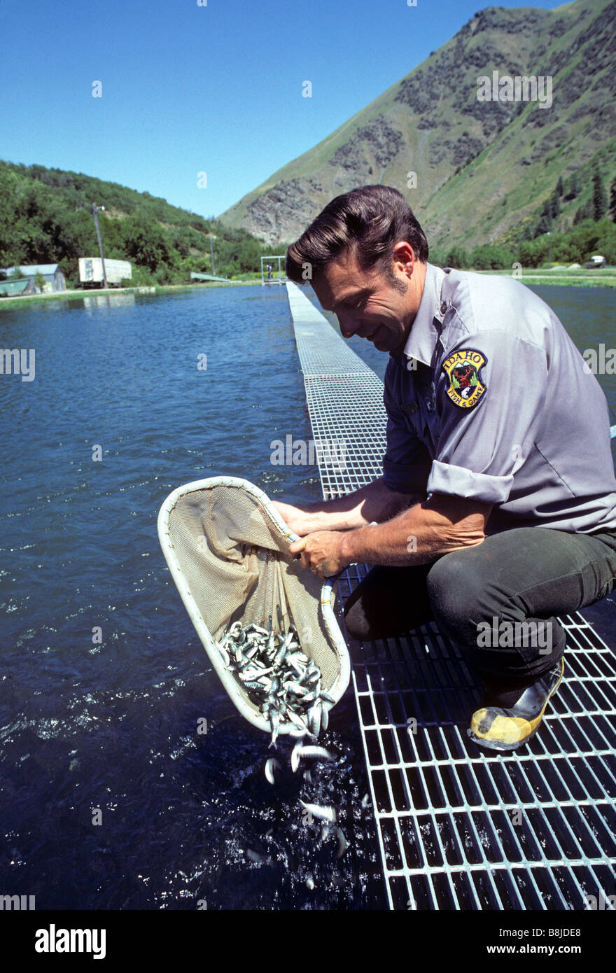 Il fiume Rapido vivaio ittico situato accanto a un affluente del fiume di salmoni nei pressi di Riggins Idaho Foto Stock