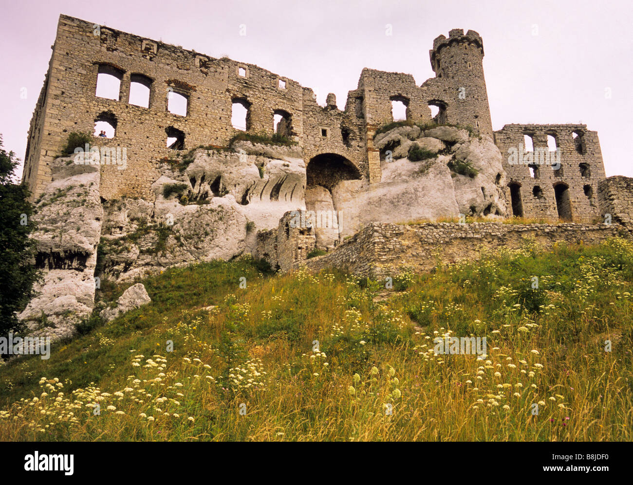 Castello in rovina in Ogrodzieniec presso nidi delle aquile Trail nella regione di Malopolska in Polonia Foto Stock