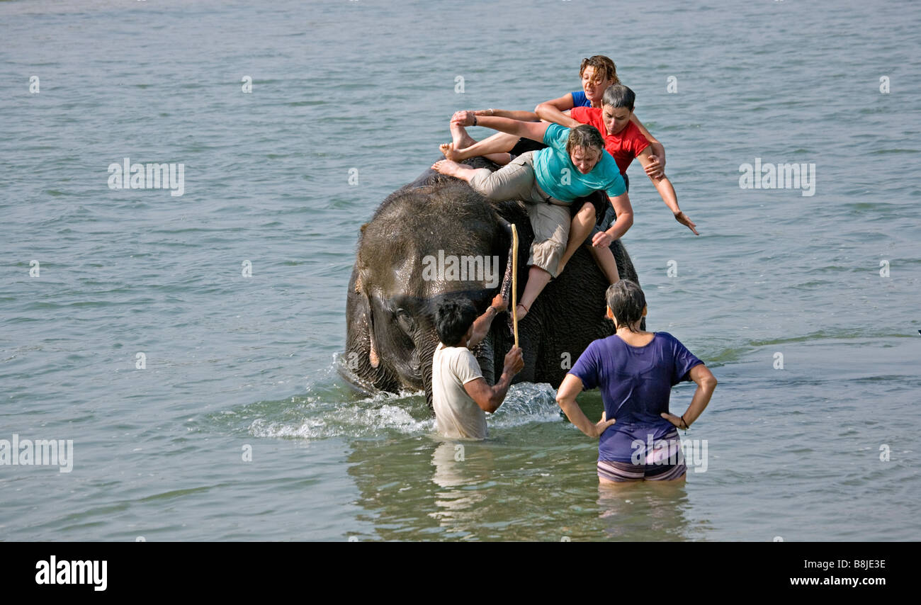 Elephant di balneazione con i turisti in Rapti Rapoti fiume nel Parco nazionale di Royal Chitwan Nepal Foto Stock