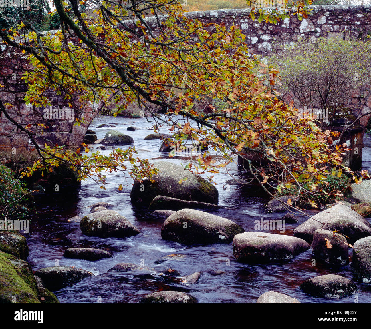 Il est fiume Dart a Dartmeet nel Parco Nazionale di Dartmoor, Devon, Inghilterra. Foto Stock