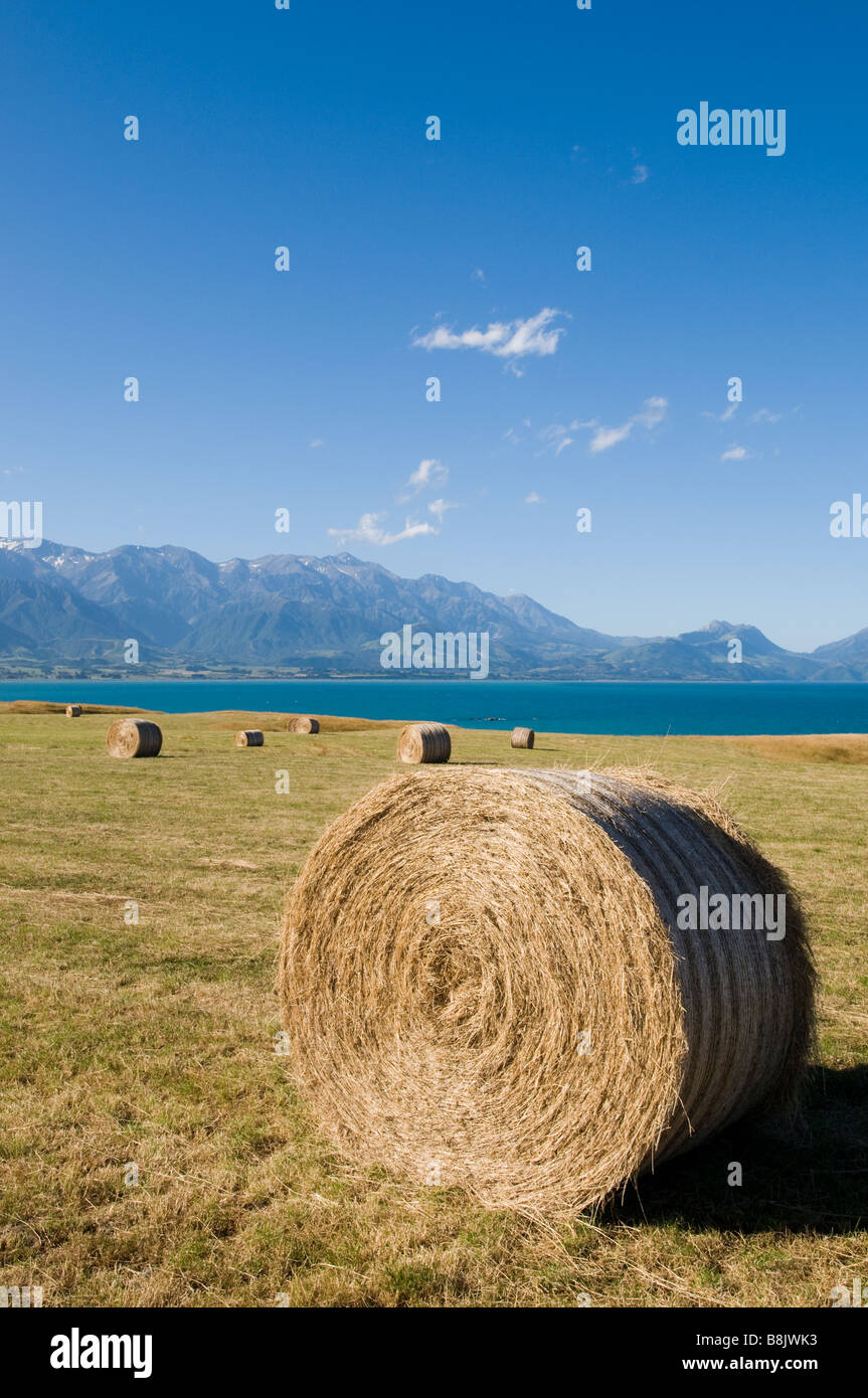 Bail di fieno, prese a Kaikoura, Nuova Zelanda Montagne Foto Stock