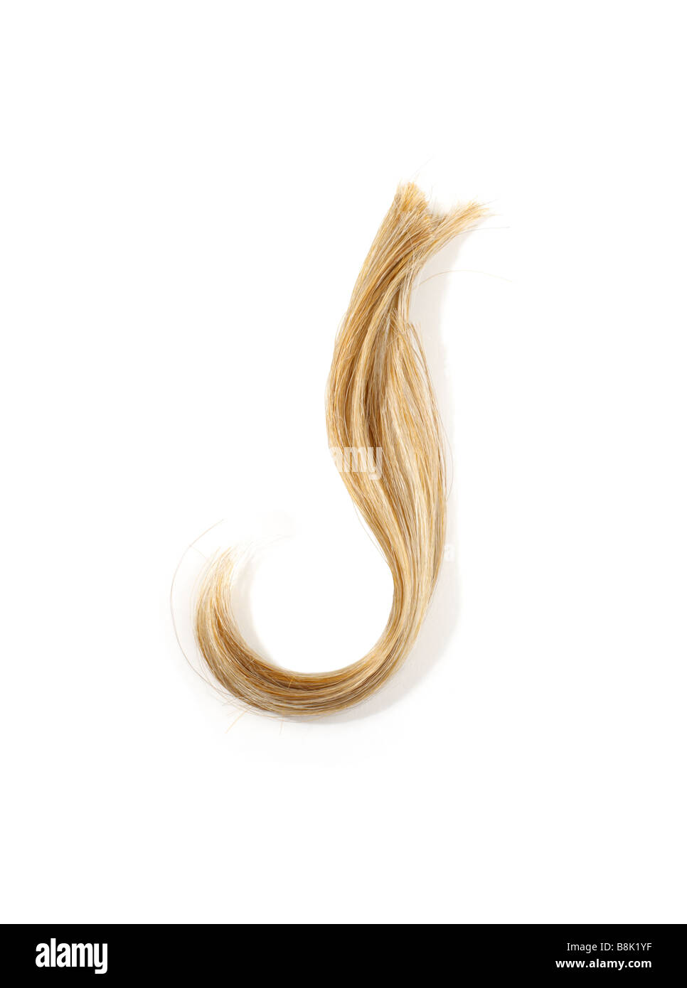 Studio shot di una ciocca di capelli biondi Foto Stock