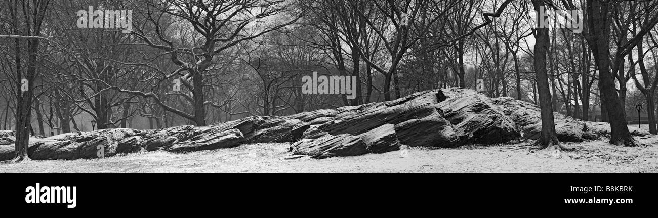 Dopo una tempesta di neve a Central park in inverno Foto Stock