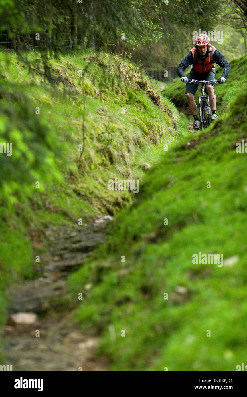 Mountain Biker cavalca un sottile e percorso roccioso su Dartmoor Foto Stock