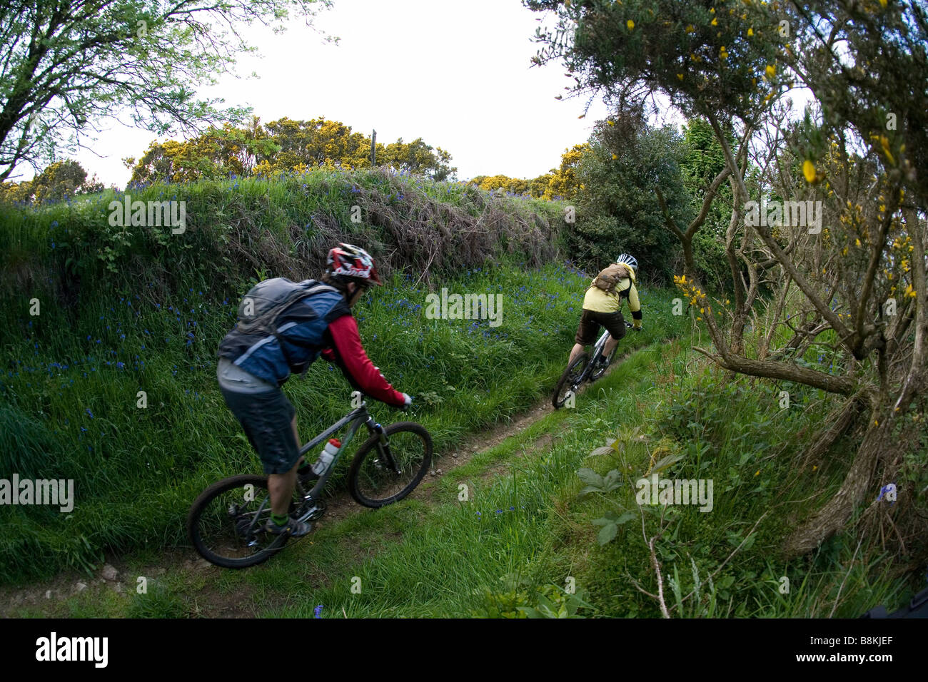 Gli amanti della mountain bike GIRO SUL Dartmoor Foto Stock