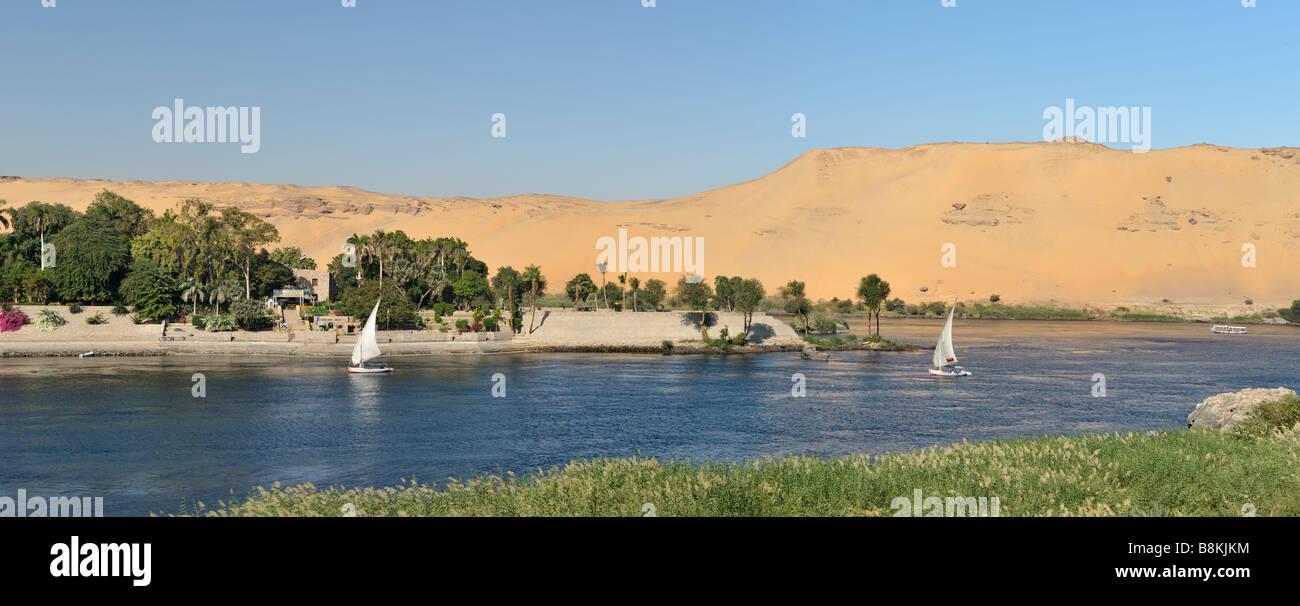 Feluche intorno all Isola Elefantina, Aswan, Egitto 33516 081124 Foto Stock