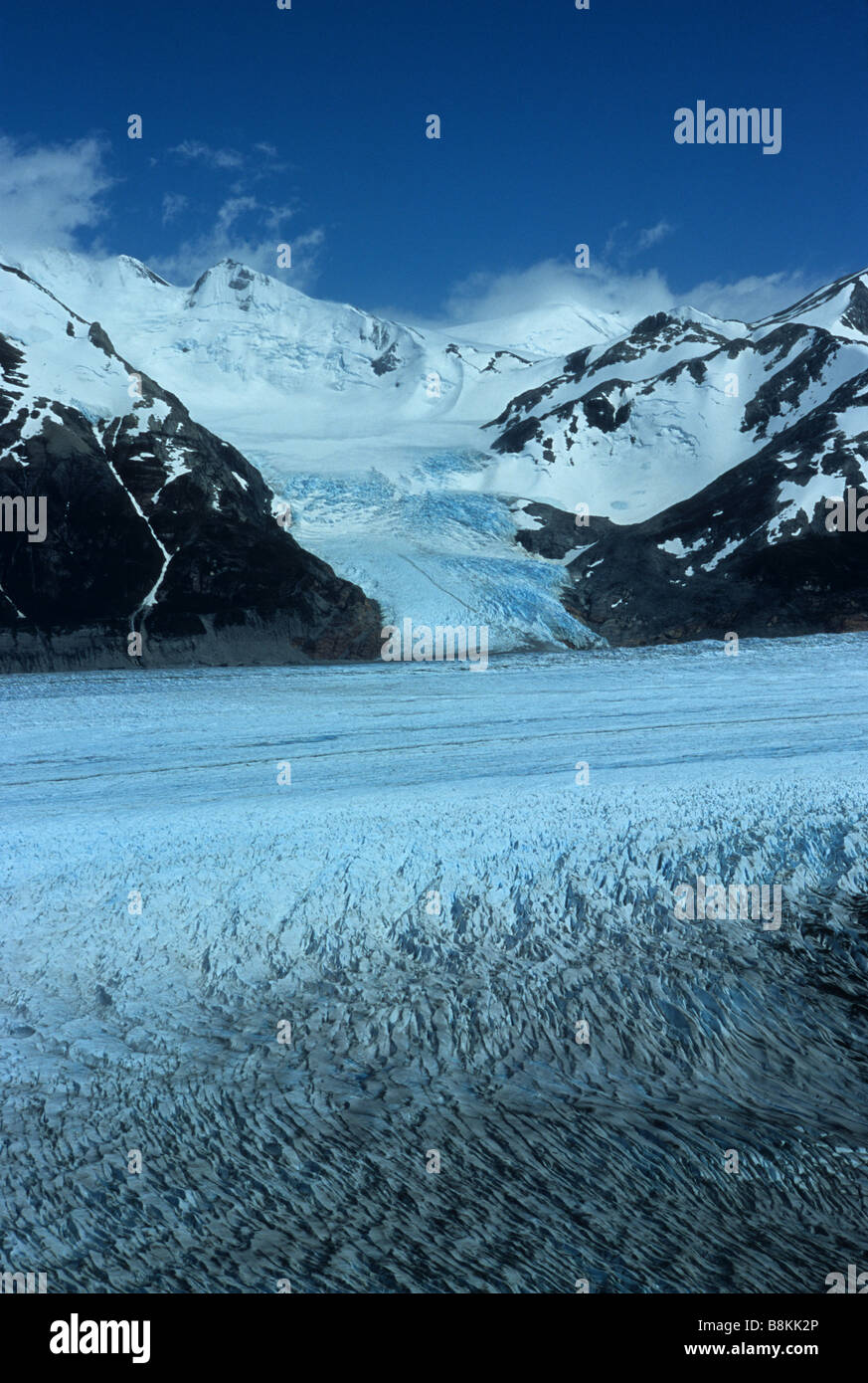 Ammira il ghiacciaio Grigio fino al campo di ghiaccio della Patagonia meridionale, al Parco Nazionale Torres del Paine, alla Patagonia, al Cile Foto Stock