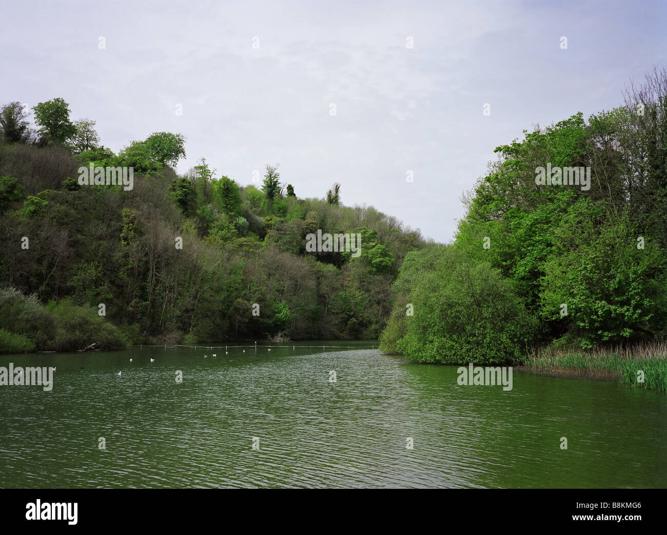 Swanbourne Lago, Arundel, West Sussex Foto Stock