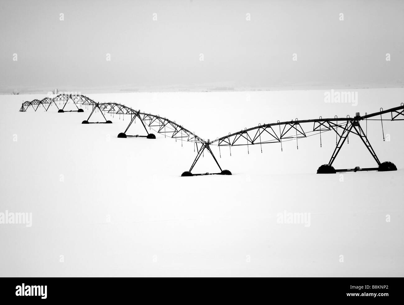 Il campo del sistema di irrigazione, inverno in Idaho, Stati Uniti d'America. Foto Stock