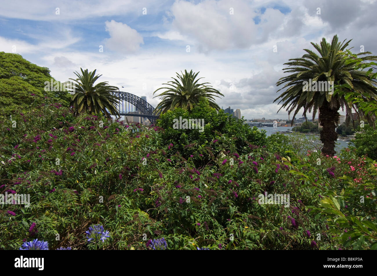 Una vista verso il Ponte del Porto di Sydney da Clark Park, su Sydney North Shore, Australia. Foto Stock