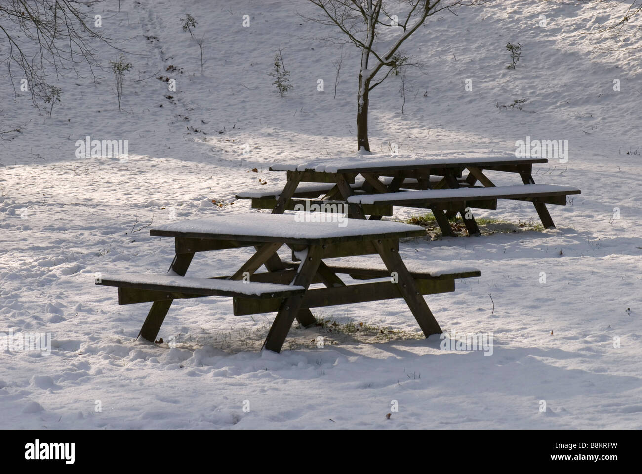 Tavoli da picnic in inverno Foto Stock