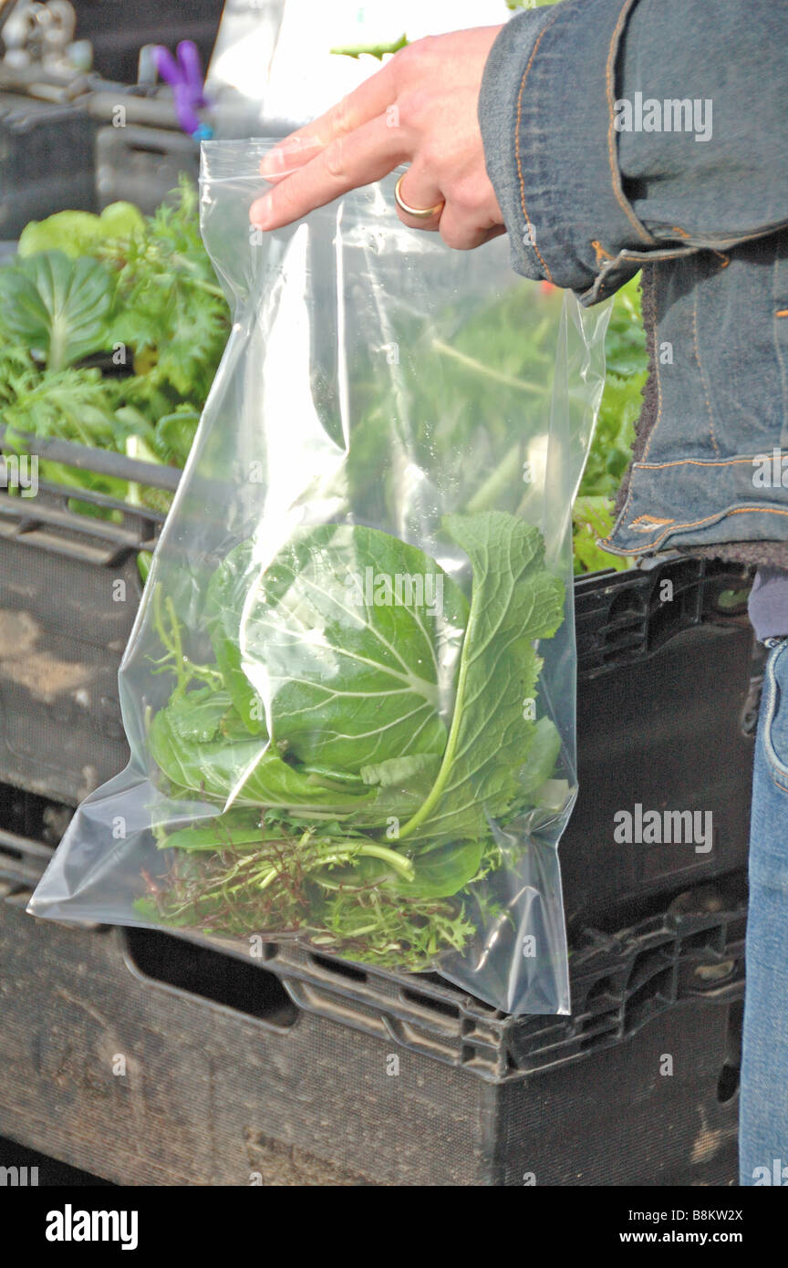 Il cliente di riempire un sacchetto con verdura verde a Stoke Newington Farmers Market Londra Inghilterra REGNO UNITO Foto Stock