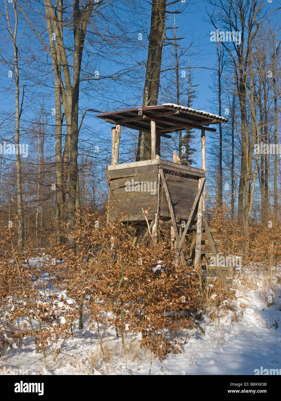 Vuoto stand di tiro con neve nella foresta e cielo blu Foto Stock