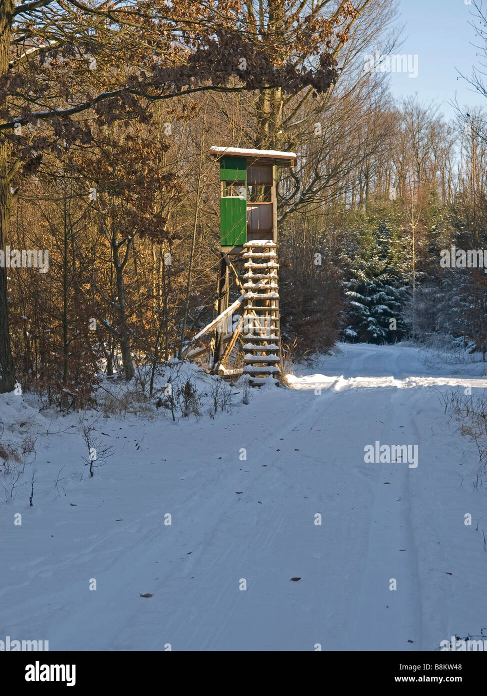 Vuoto stand di tiro con la neve nella foresta Foto Stock