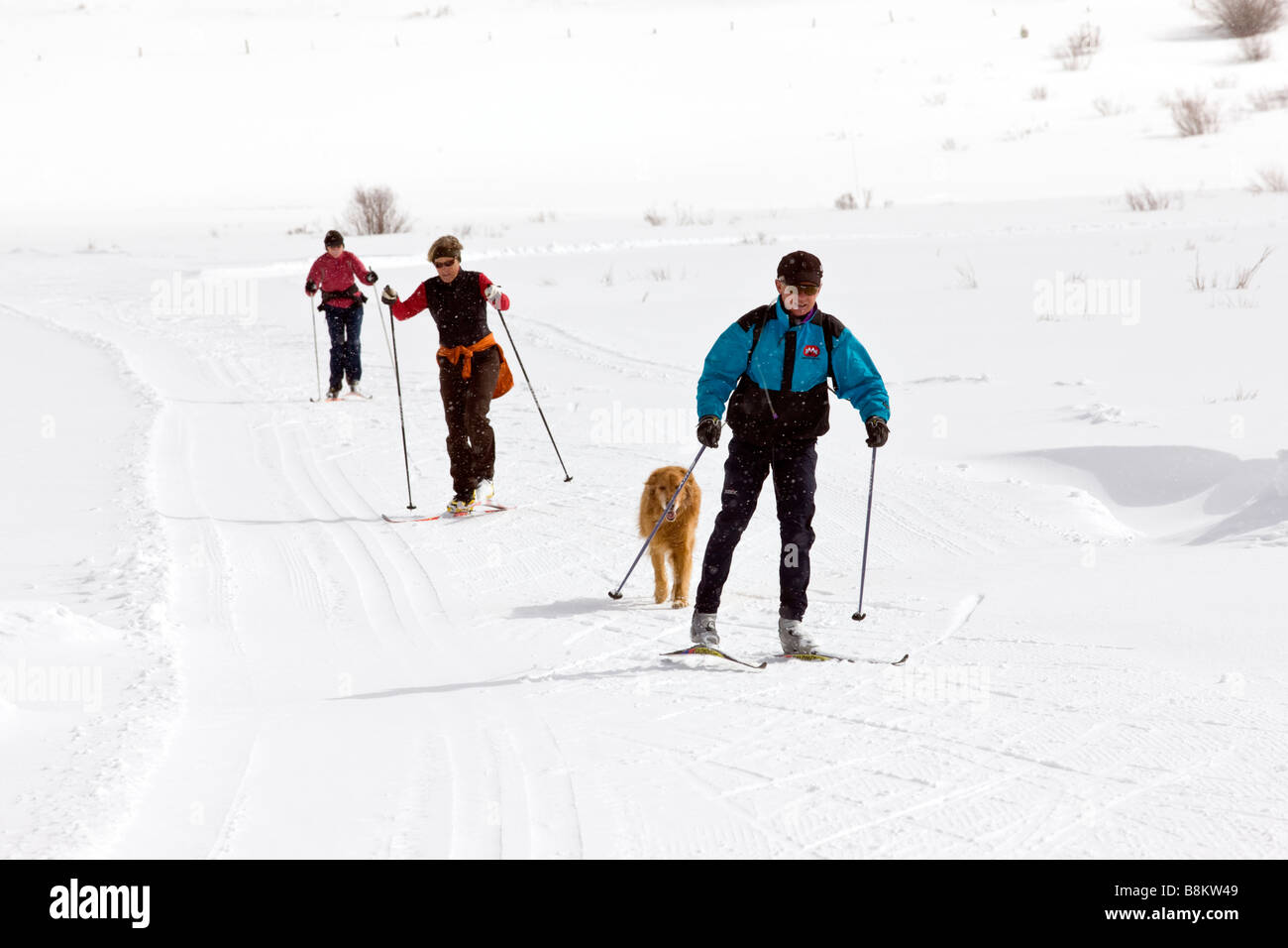 Maschio e femmina sciatori di pattino al Tennessee Pass Nordic Center vicino a Denver, Colorado, STATI UNITI D'AMERICA Foto Stock
