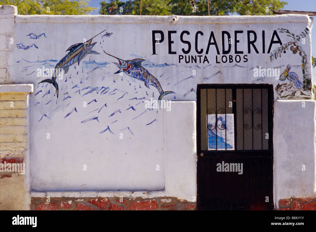Negozio di pesce in Calle Juarez in Todos Santos, Baja California Sur, Messico Foto Stock